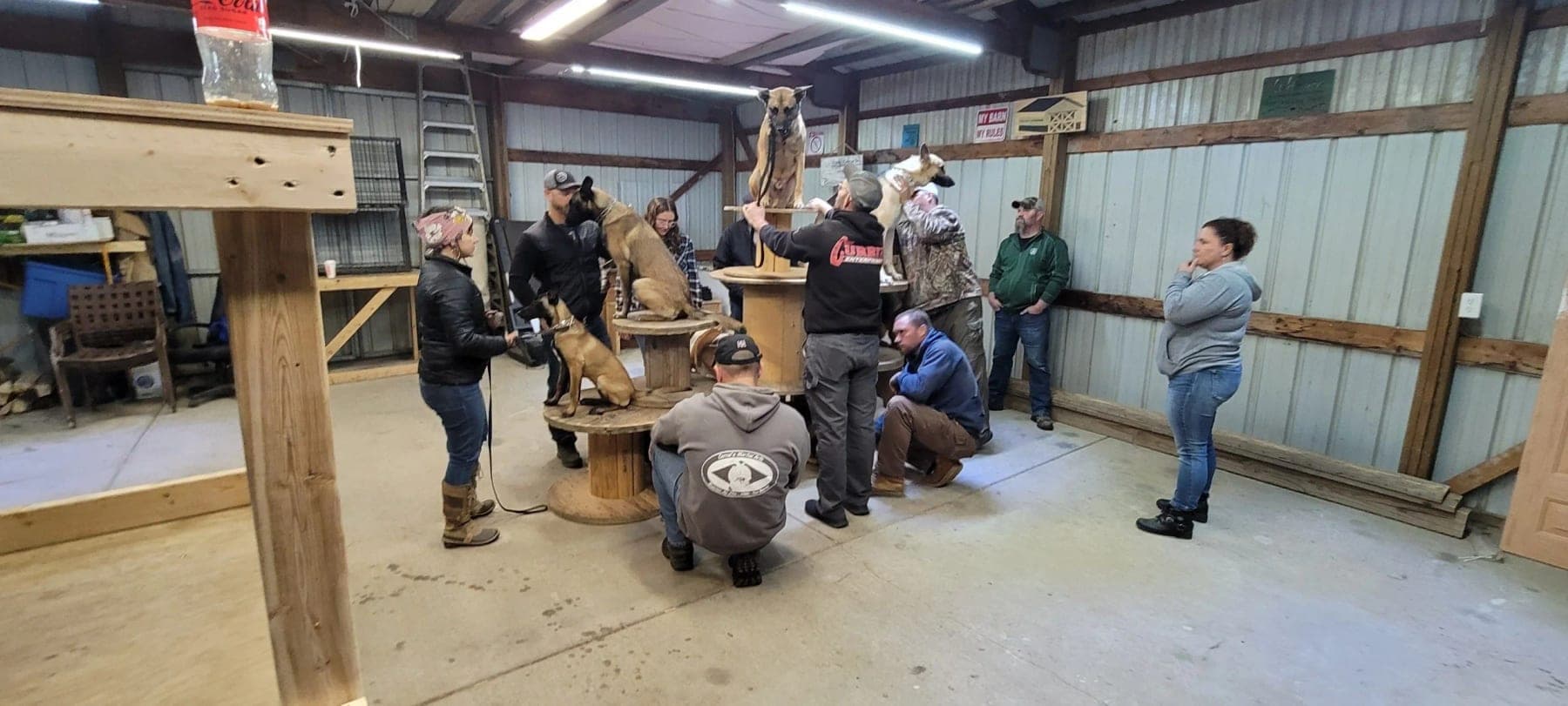 The trainer working one dog on top of the spool tower while the handlers watch