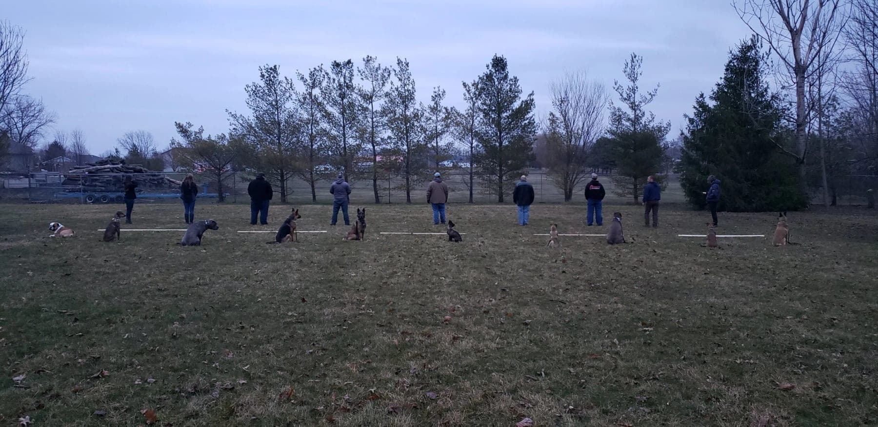 Handlers and dogs spread out in a line across an open field